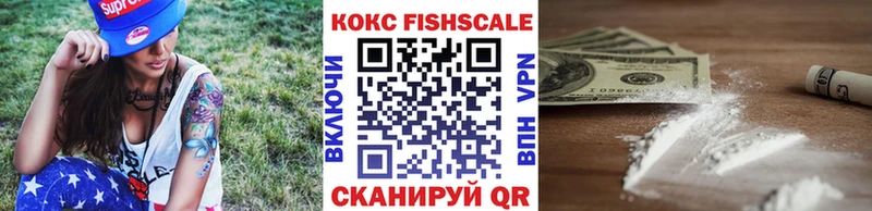 hydra как зайти  Будённовск  КОКАИН Fish Scale  купить наркотик 