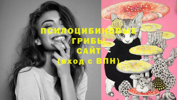 mix Аркадак
