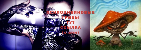 ГАЛЛЮЦИНОГЕННЫЕ ГРИБЫ Балабаново