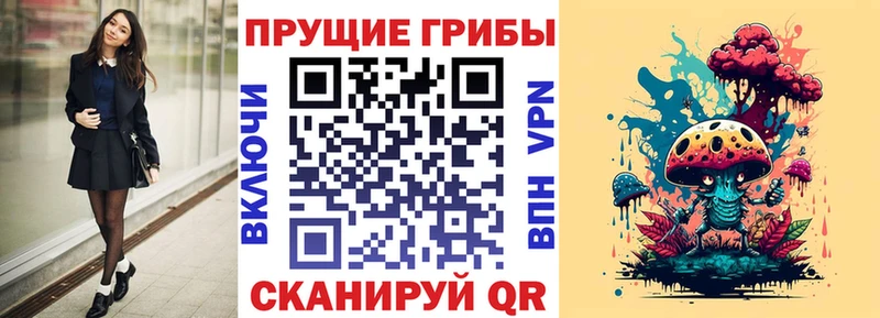 Псилоцибиновые грибы Cubensis  Будённовск 